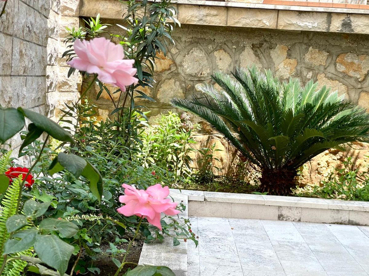 Apartments Villa Mirjana Budva Exterior photo