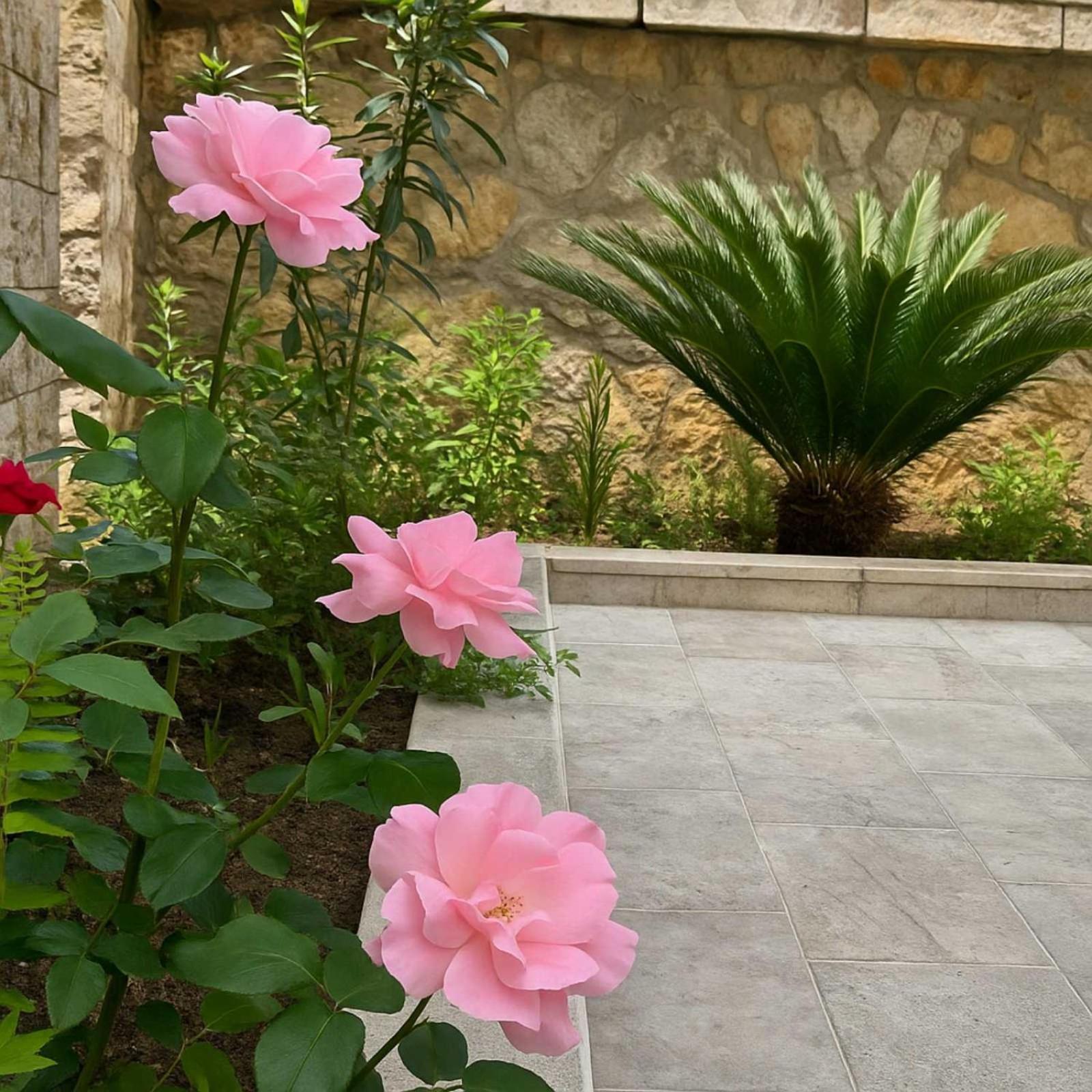 Apartments Villa Mirjana Budva Exterior photo